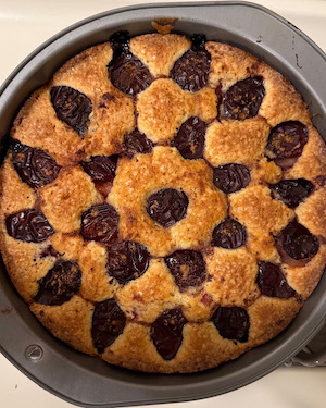 Top view of plum torte in round baking pan. Plums are arranged in concentric circles and half sunken into the browned cake.